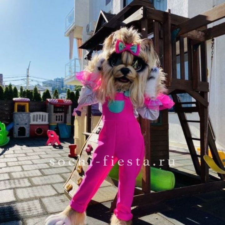 Аниматор Гламурная Собака в Рыбинске