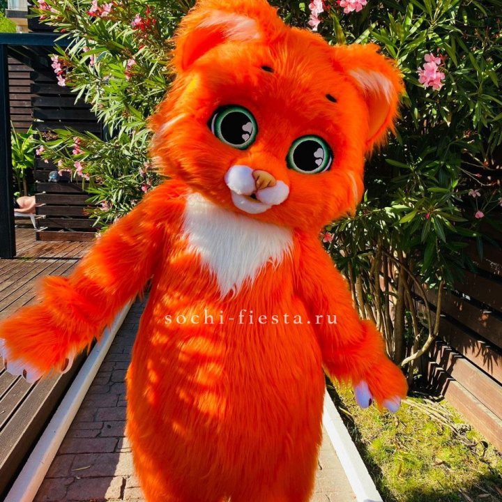 Аниматор Котик в Рыбинске