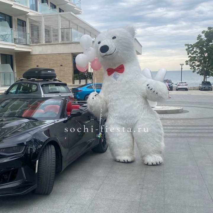 Аниматор Белый Медведь в Рыбинске