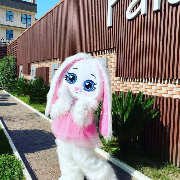 Аниматор Зайка в Рыбинске