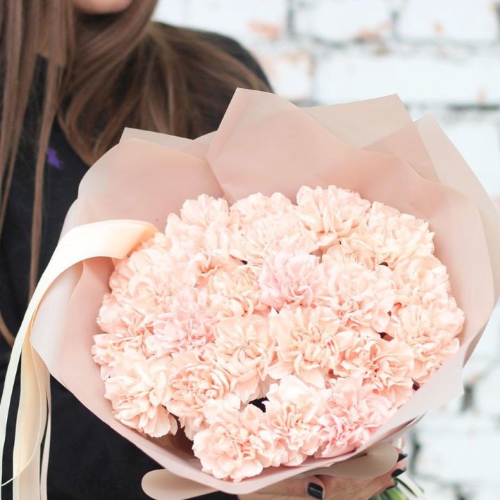 Диантусы №2 в Рыбинске