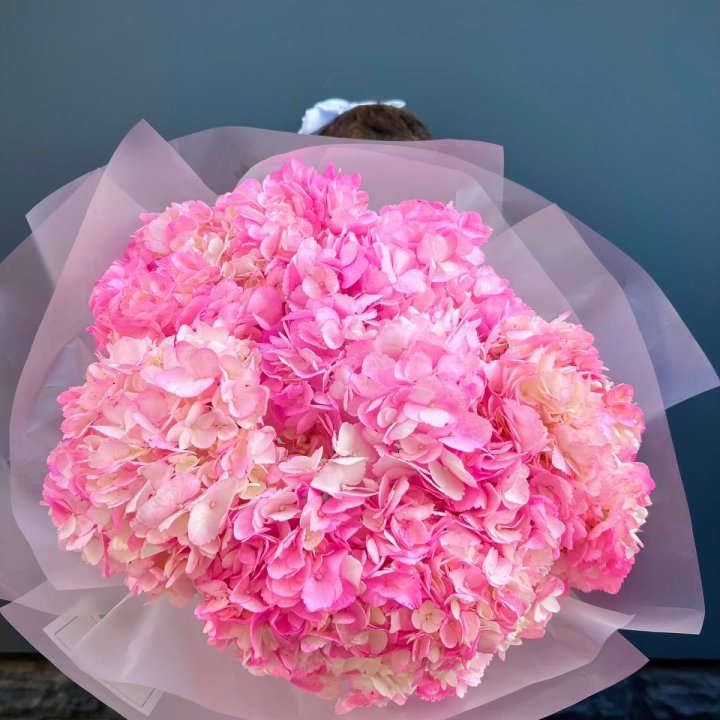 9 ярко розовых гортензий в Рыбинске