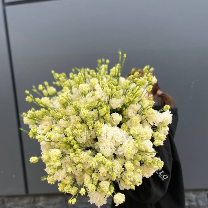 51 белая эустома в Рыбинске