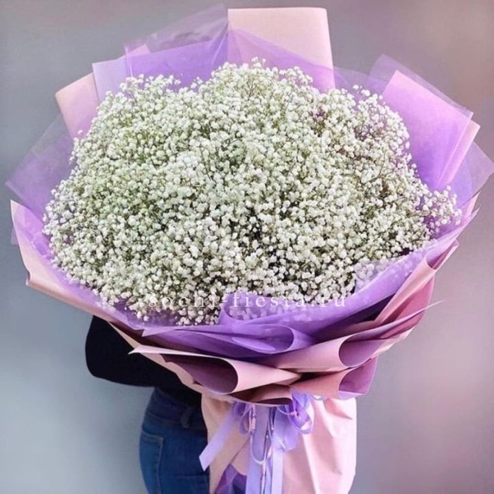 Облако белых гипсофил в Рыбинске