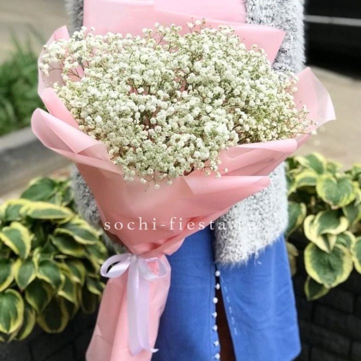 Белоснежные гипсофилы в Рыбинске