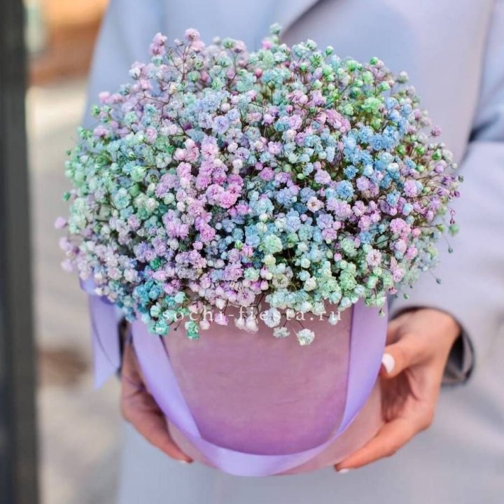 Гипсофилы в шляпной коробке "Кандилайт" в Рыбинске