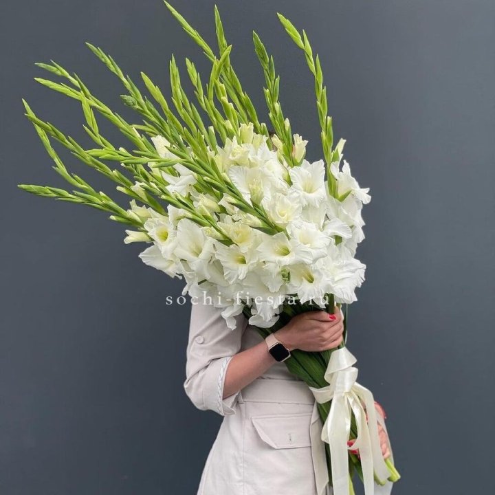 19 белых гладиолусов под ленту в Рыбинске