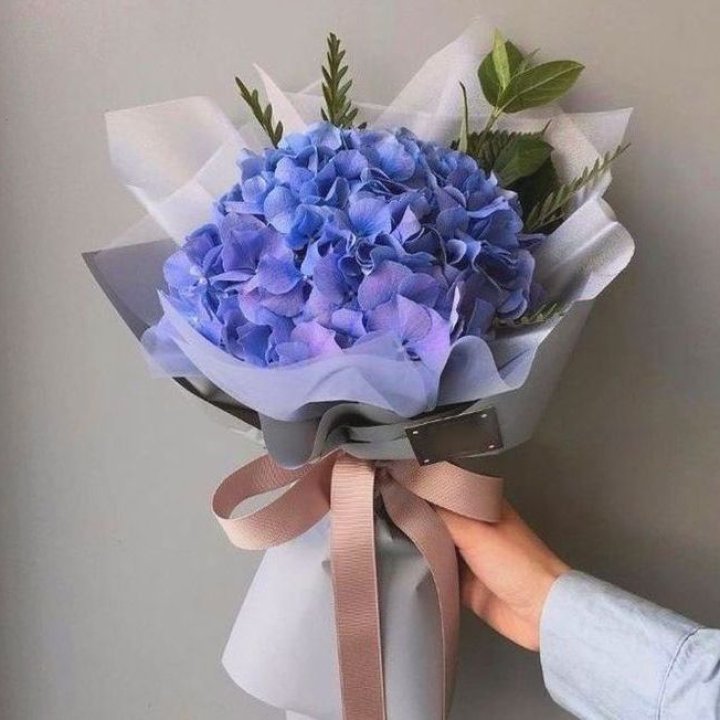 Гортензия голубая в Рыбинске