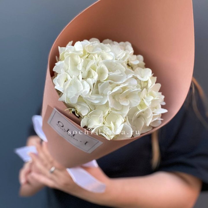 Гортензия в конверте в Рыбинске