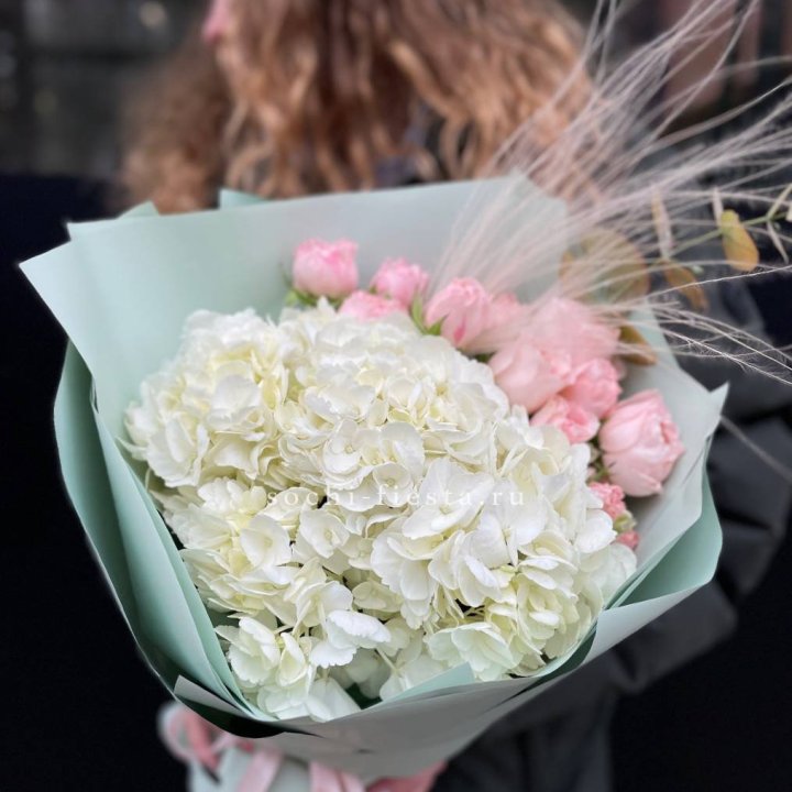 Гортензия "Жасмин" в Рыбинске