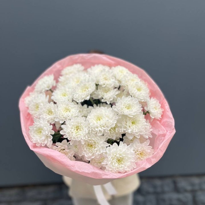  5 хризантем  в Рыбинске