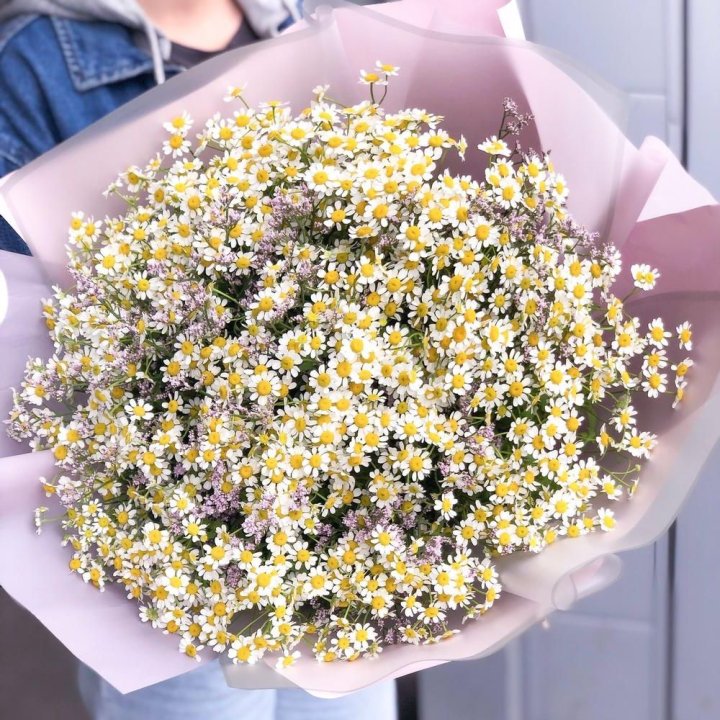 Букет ромашек №1 в Рыбинске