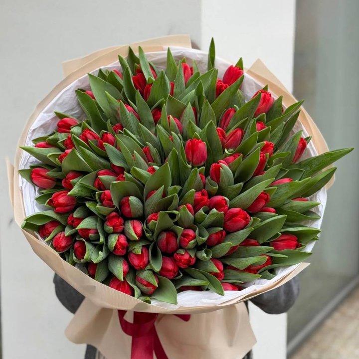 101 красный тюльпан в Рыбинске