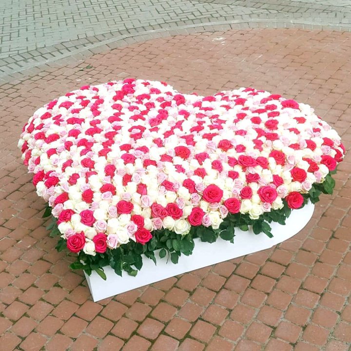 555 роза  в Рыбинске