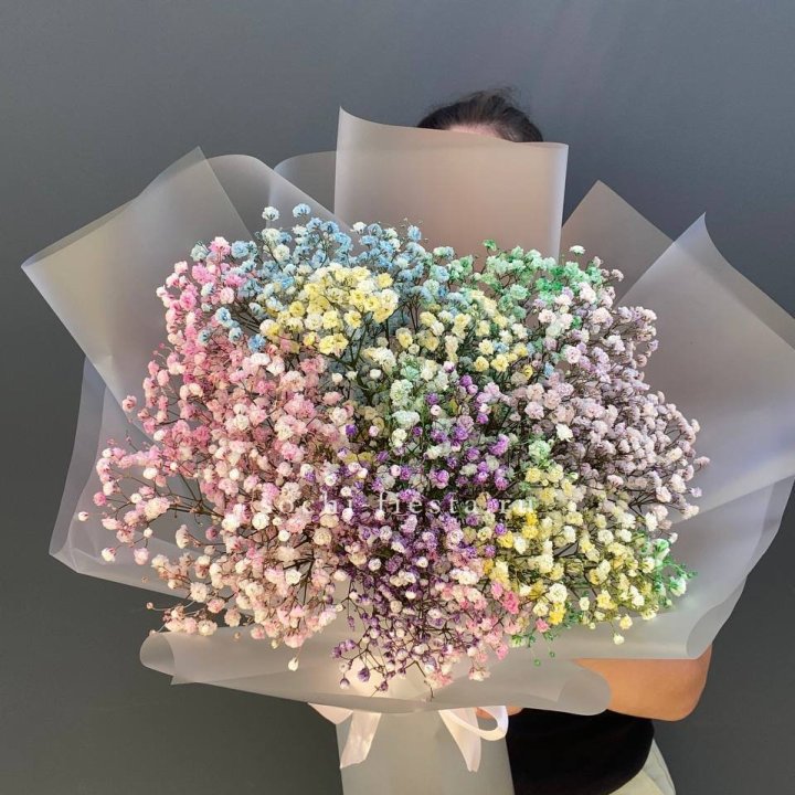 Радужные гипсофилы  в Рыбинске