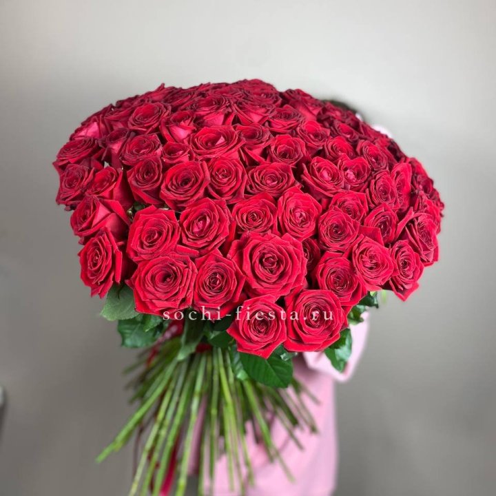 101  голландская роза  в Рыбинске