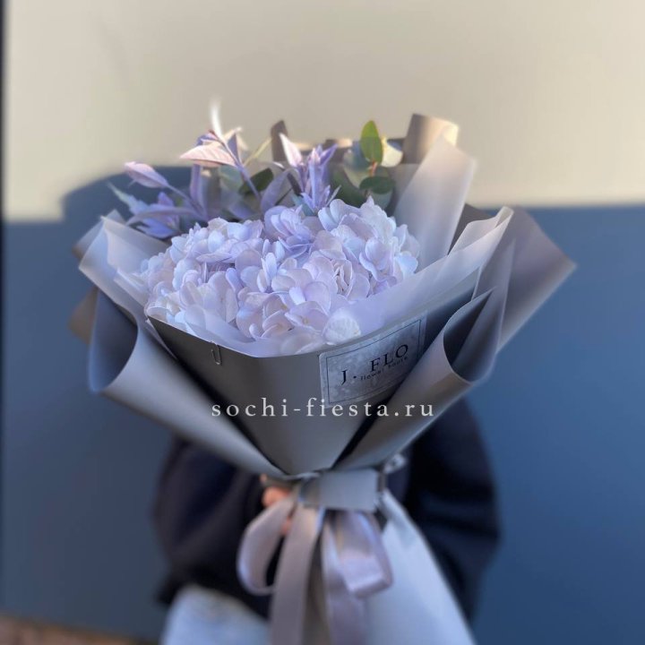 Гортензия "Виолета" в Рыбинске