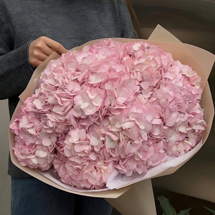 Гортензия  "РОЗЕ" в Рыбинске