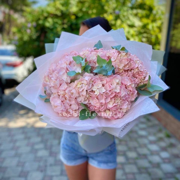 5 розовых гортензий  в Рыбинске