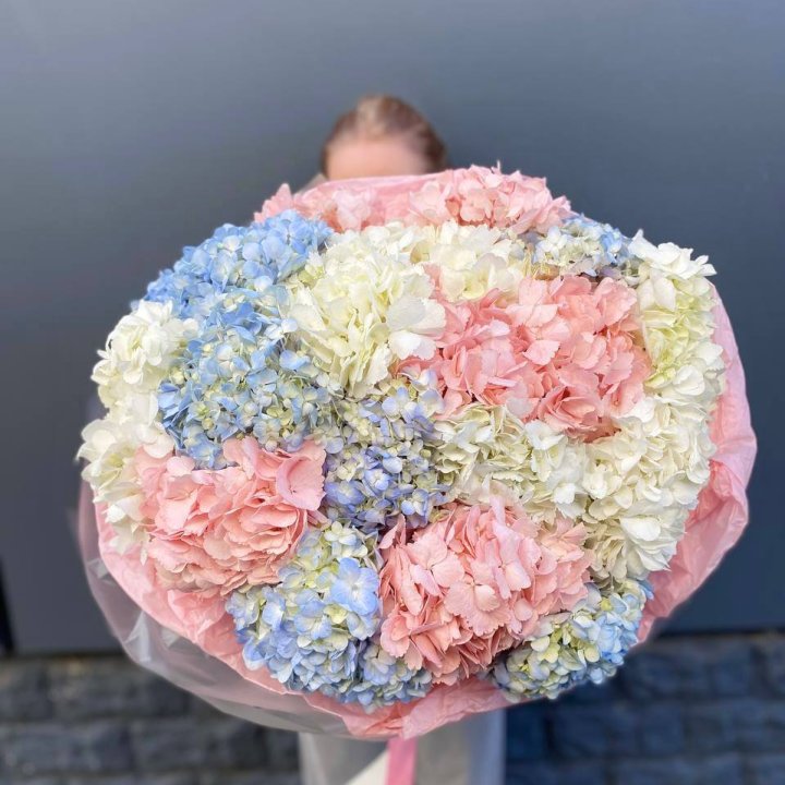 19 гортензий микс в Рыбинске