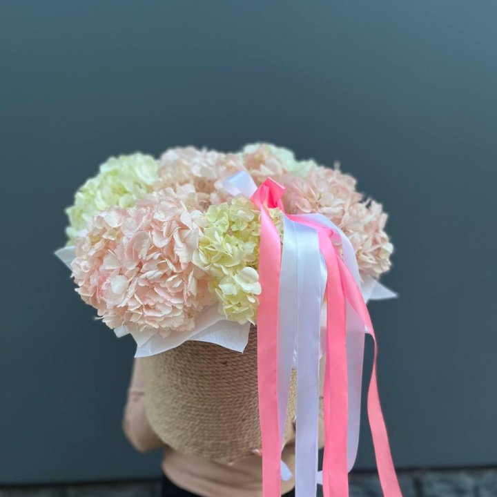 7 гортензий в кашпо в Рыбинске