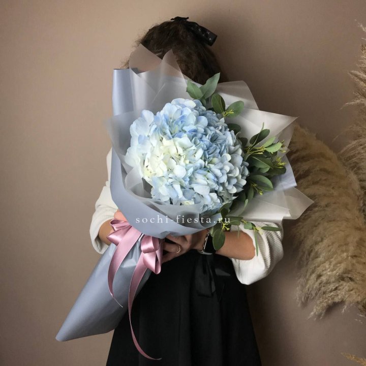 Гортензия Уно в Рыбинске