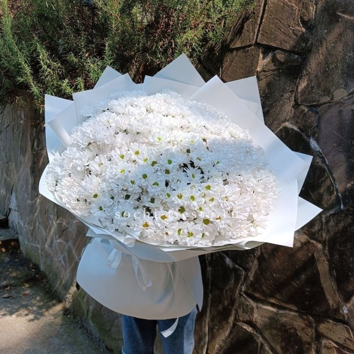 Облако хризантем №2 в Рыбинске