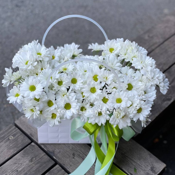 Сумка с хризантемами ромашками в Рыбинске