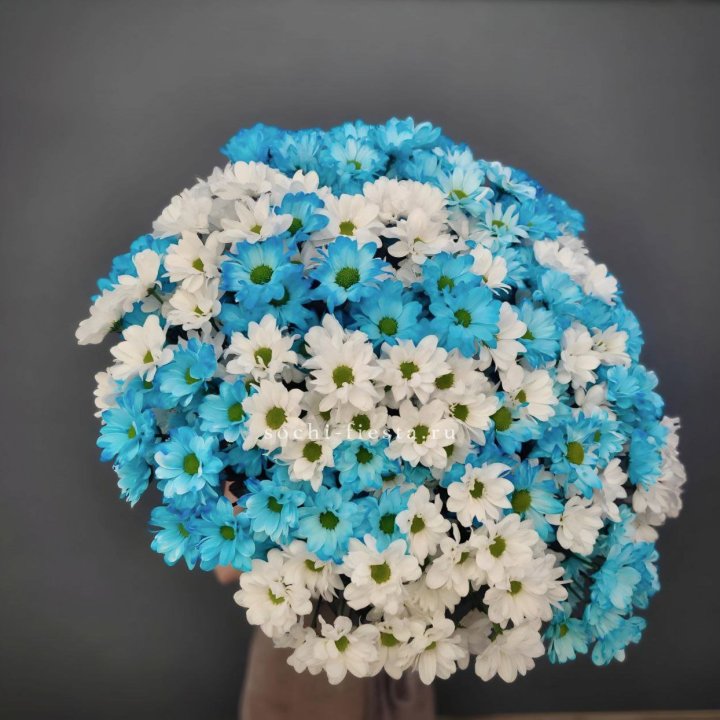  Букет хризантем микс в Рыбинске