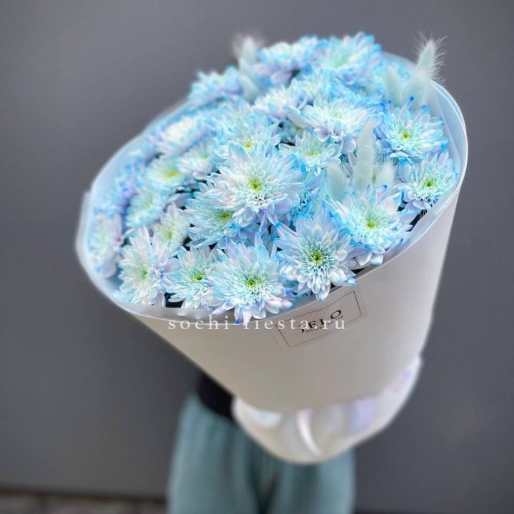  Букет нежно-голубых хризантем  в Рыбинске