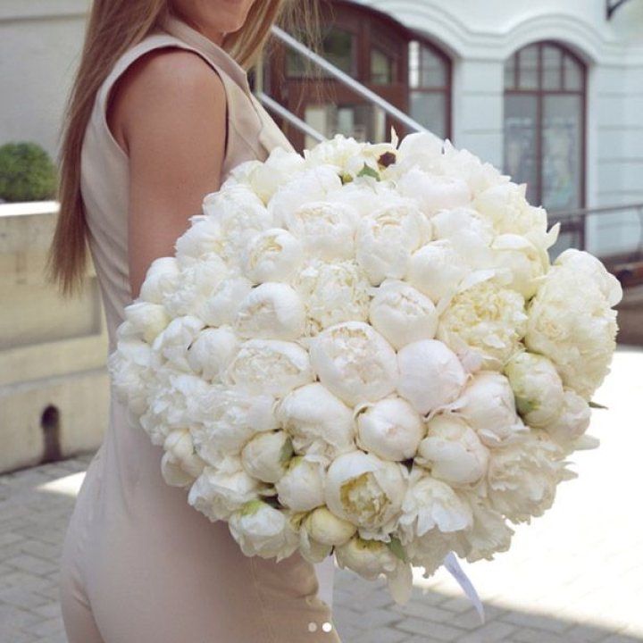 51 белый пион в Рыбинске