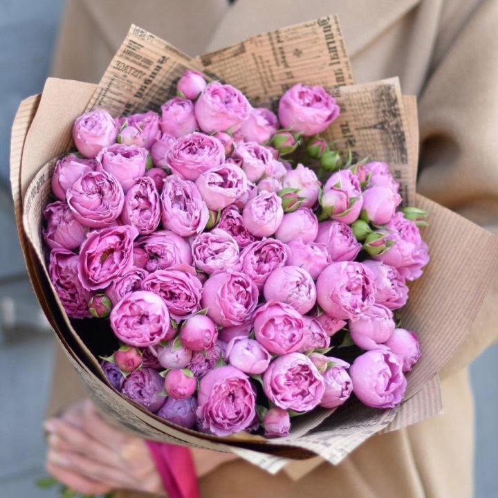 Роза Мисти Баблс в Рыбинске