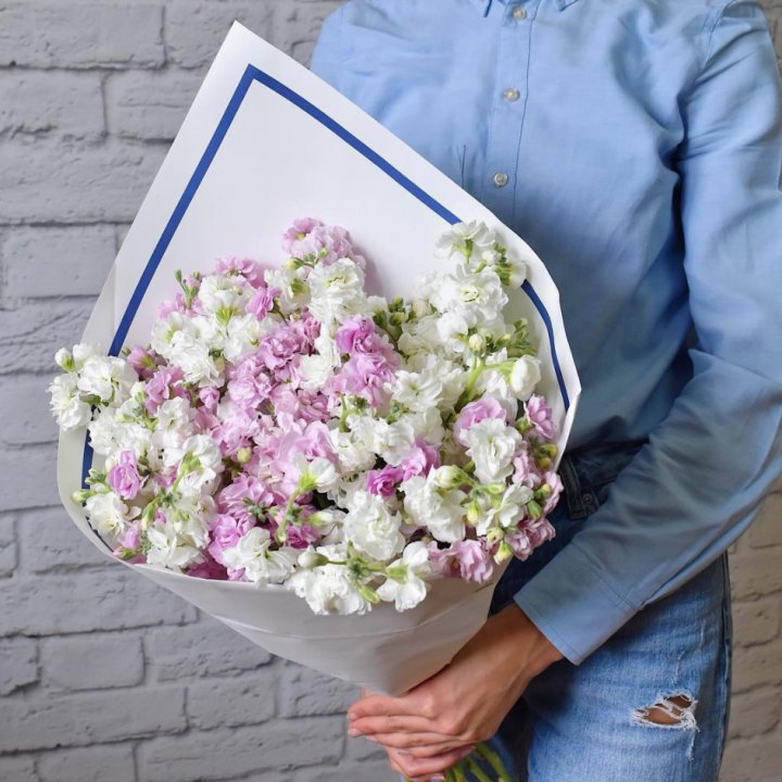 Маттиола в Рыбинске