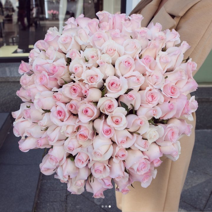 Розы "Пинк бум" в Рыбинске