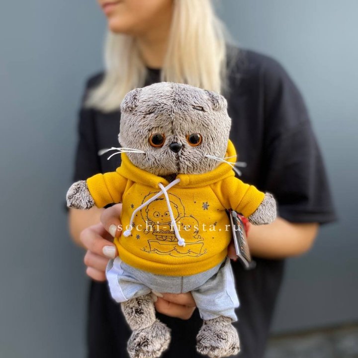 Кот Басик в худи в Рыбинске