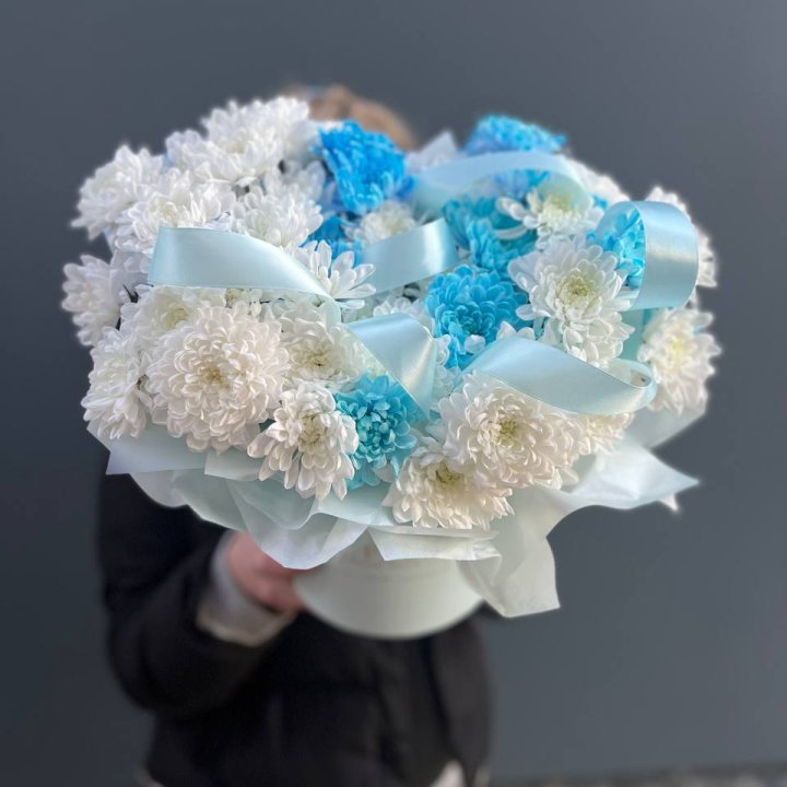 Хризнтемы в боксе в Рыбинске