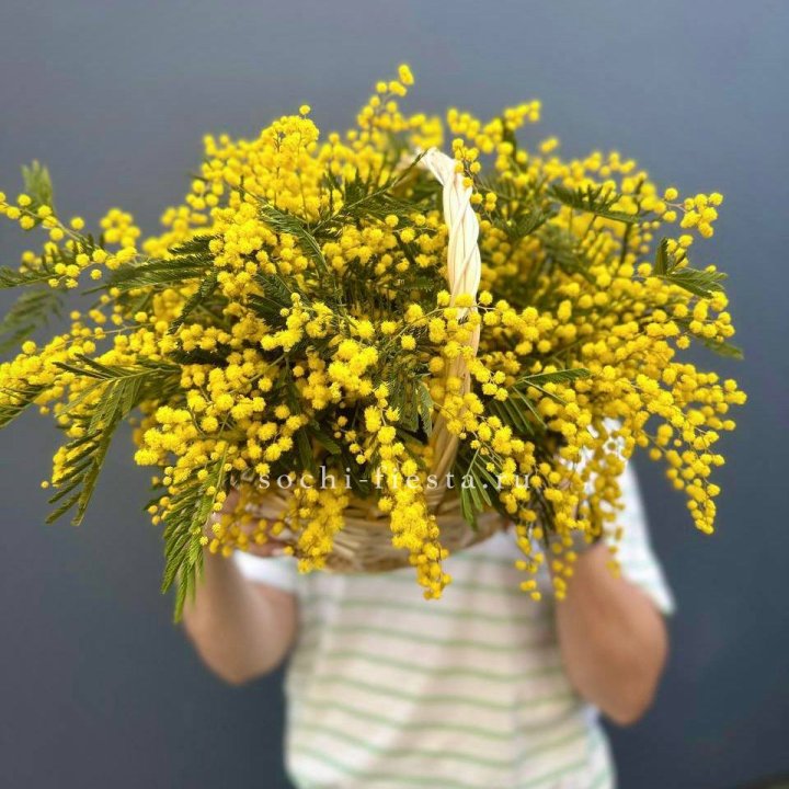 Весенняя корзина мимозы в Рыбинске
