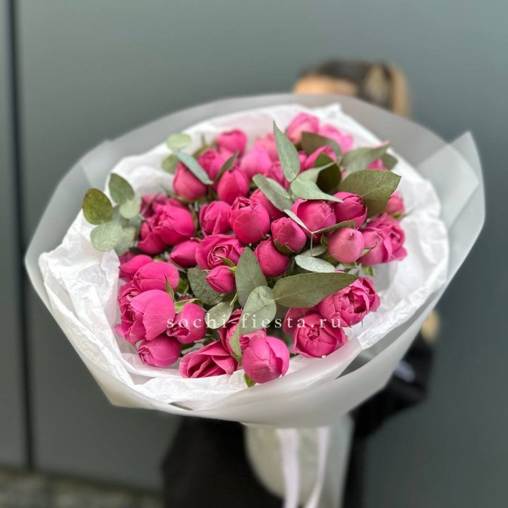 17 Мисти бабблс в Рыбинске