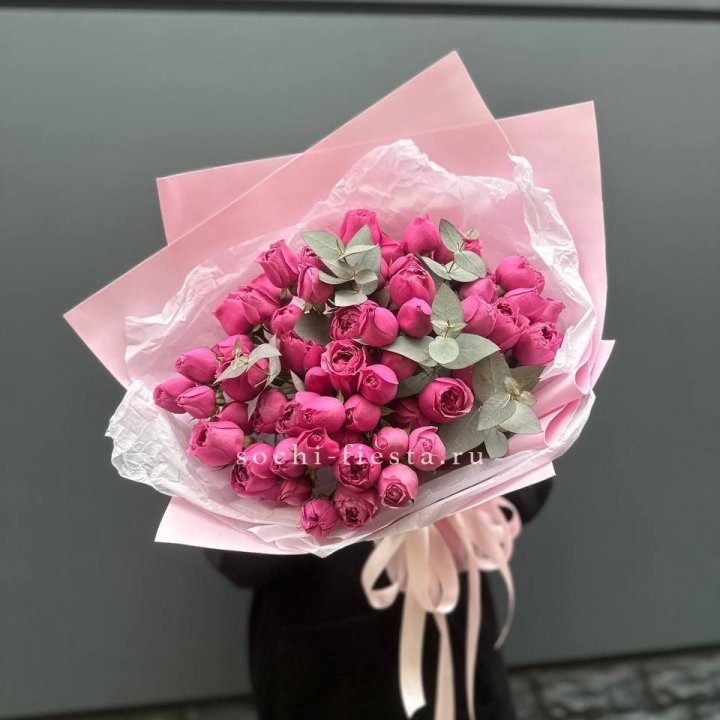 25 Мисти бабблс в Рыбинске