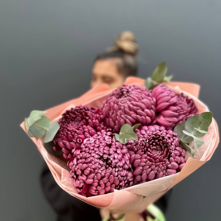 Хризантемы  Бигуди  в Рыбинске