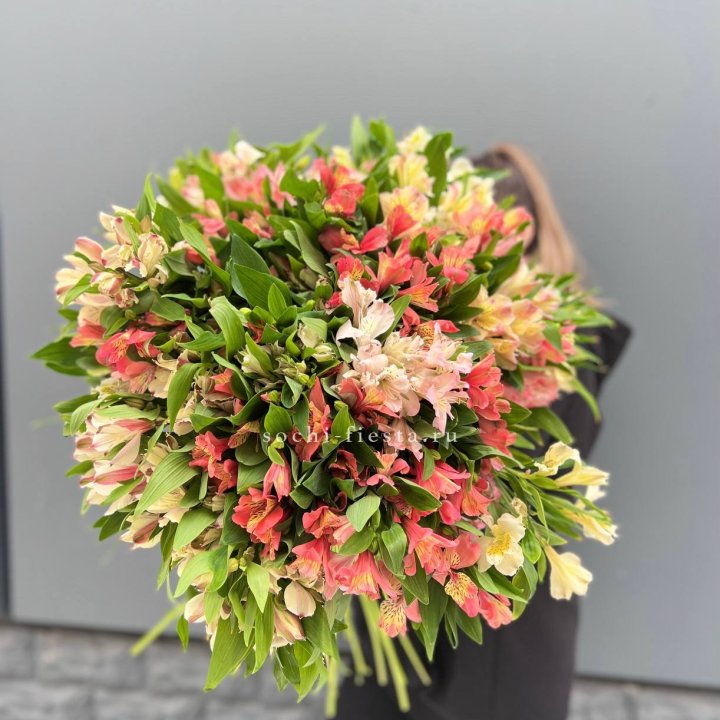 51 альстромерия в Рыбинске