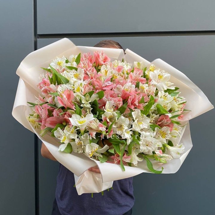 39 альстромерий в Рыбинске