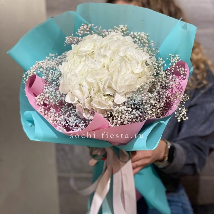 Гортензия "Райдов" в Рыбинске