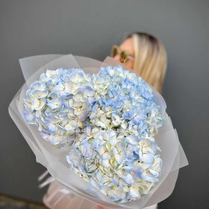 Букет из 3 голубых гортензий  в Рыбинске