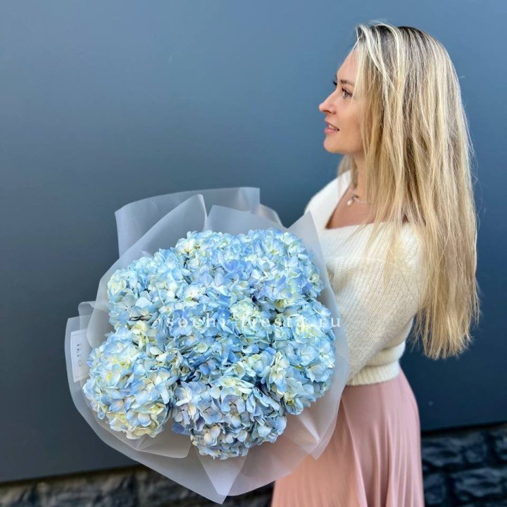 7 голубых гортензий в Рыбинске