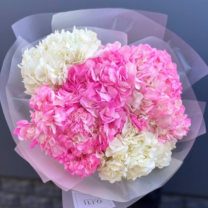 5 бело-розовых гортензий в Рыбинске