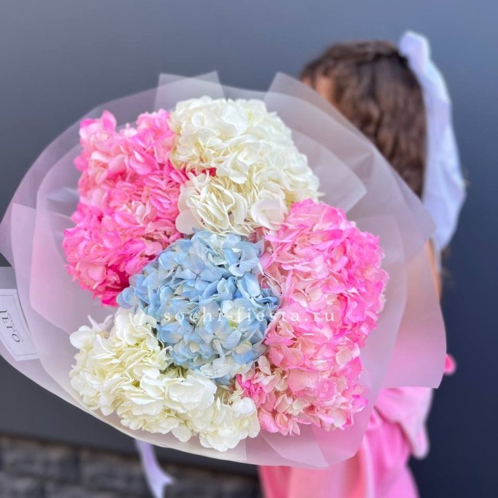 7 гортензий микс в Рыбинске