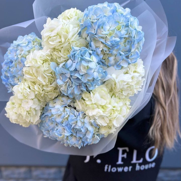 9 бело-голубых гортензий в Рыбинске