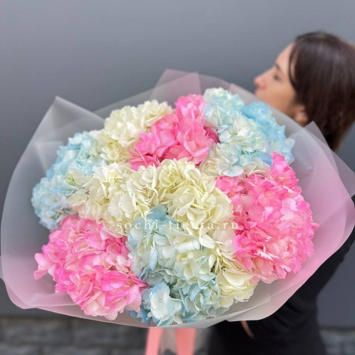 9 гортензий микс в Рыбинске
