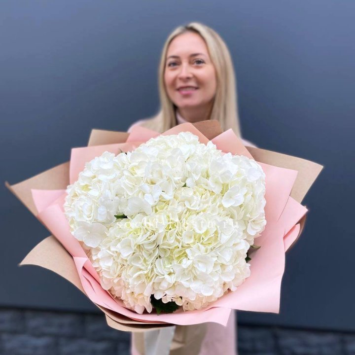 Гортензия белая в Рыбинске